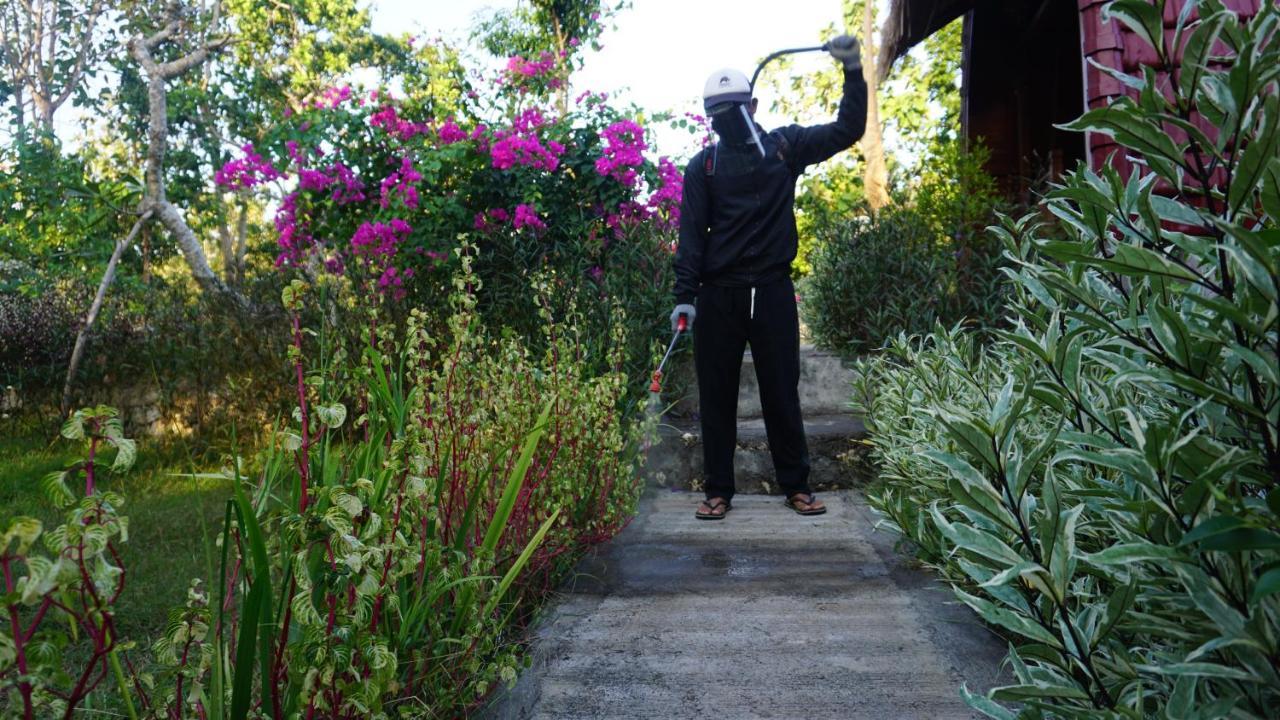 Bougainvillea Bungalow Toyapakeh Eksteriør bilde