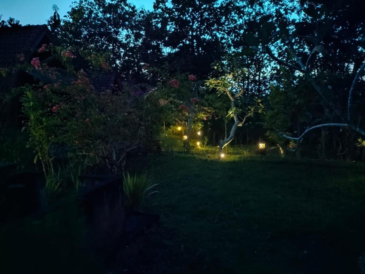 Bougainvillea Bungalow Toyapakeh Eksteriør bilde